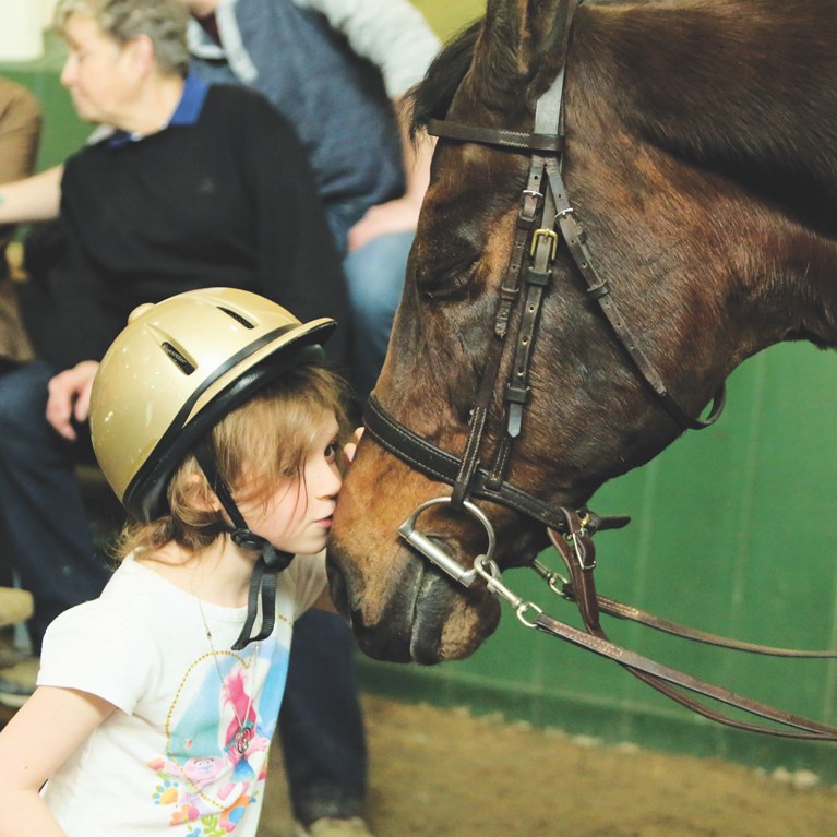 Little girl kissing the nose of a Morgan horse
