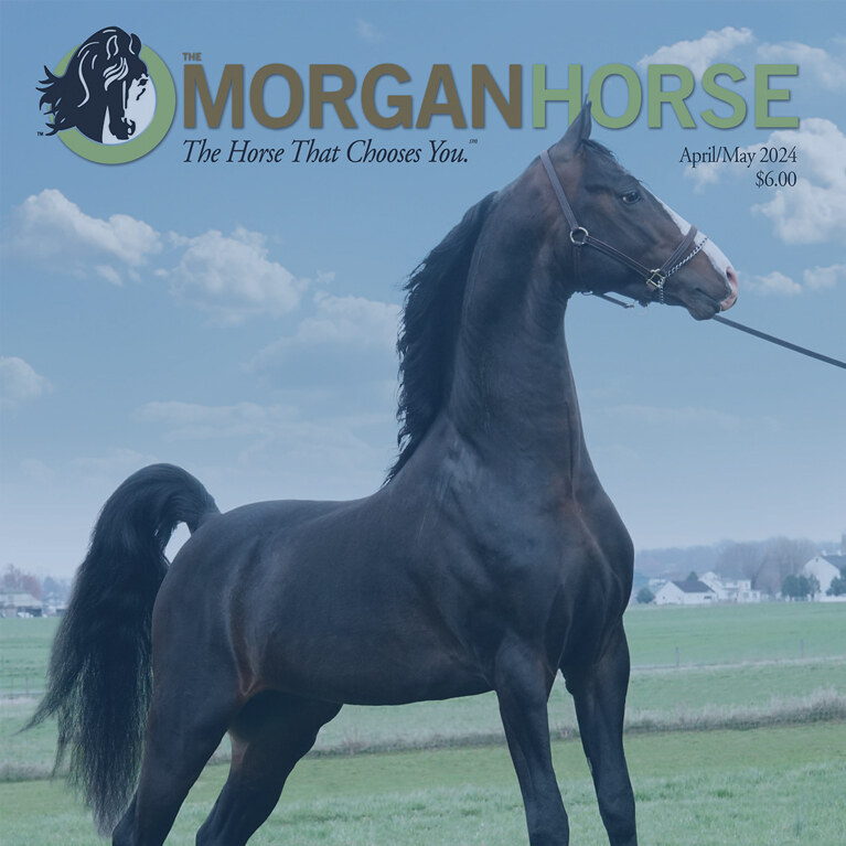 Front cover of April/May 2024 The Morgan Horse magazine
