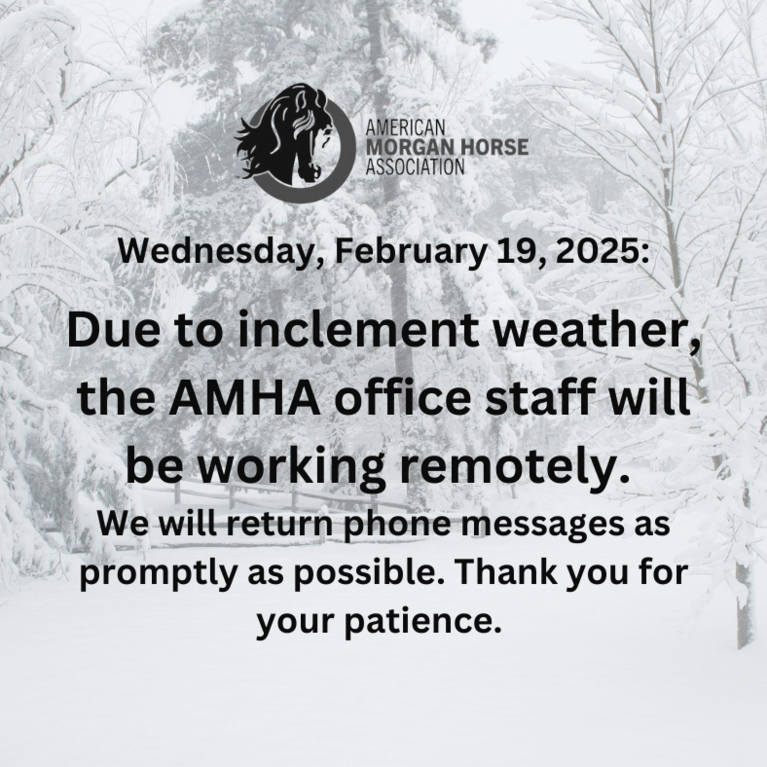 Due to inclement weather, the AMHA office staff will be working remotely.  We will return phone messages as promptly as possible. Thank you for your patience.