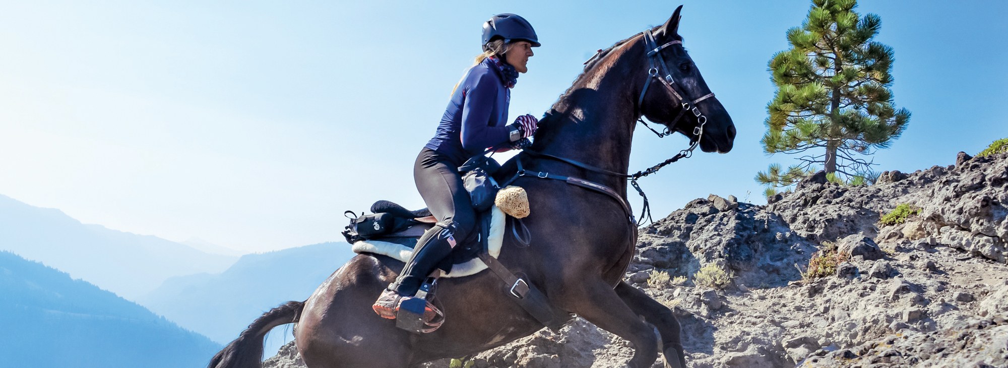 American Morgan Horse AssociationÃ¢Â€Â“Comp. Trail/Endurance