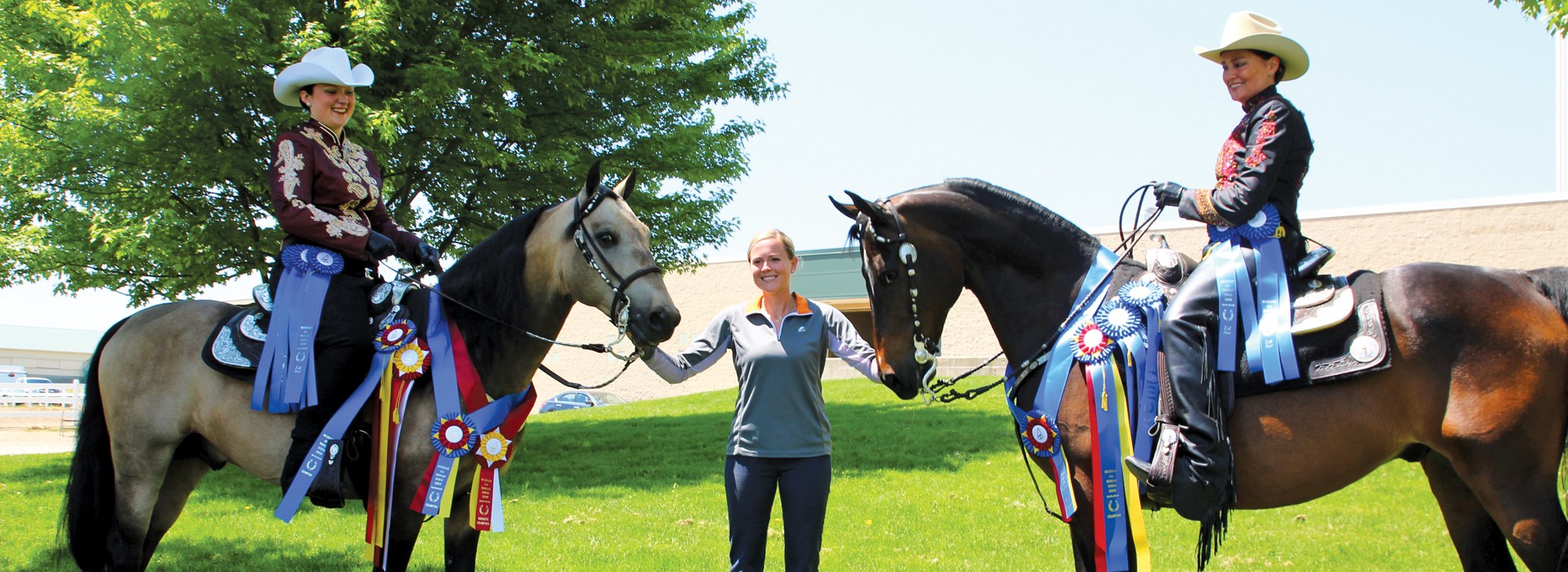 American Horse Association USEF Competition Lite AMHA