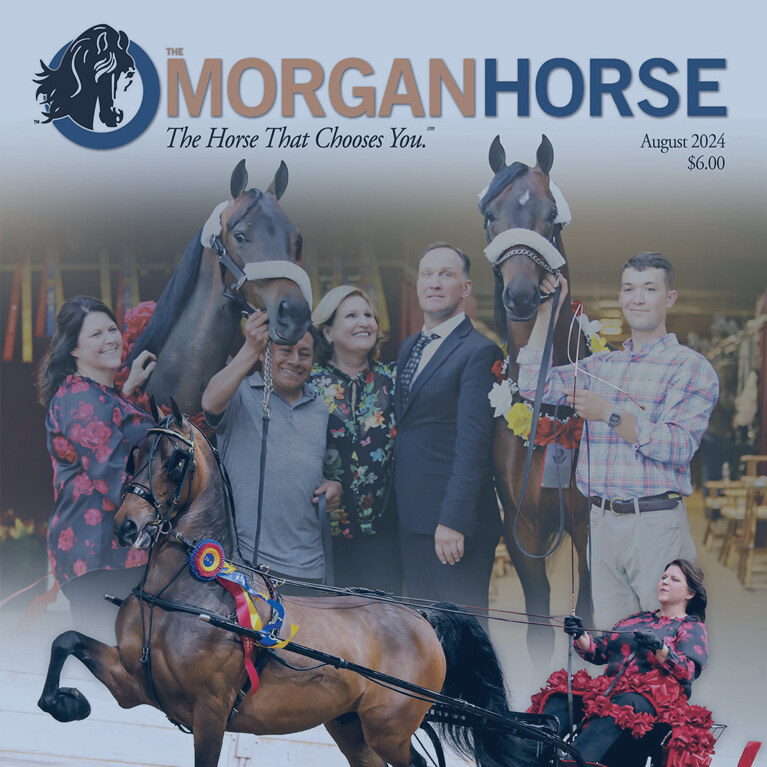 Front cover of August 2024 The Morgan Horse magazine