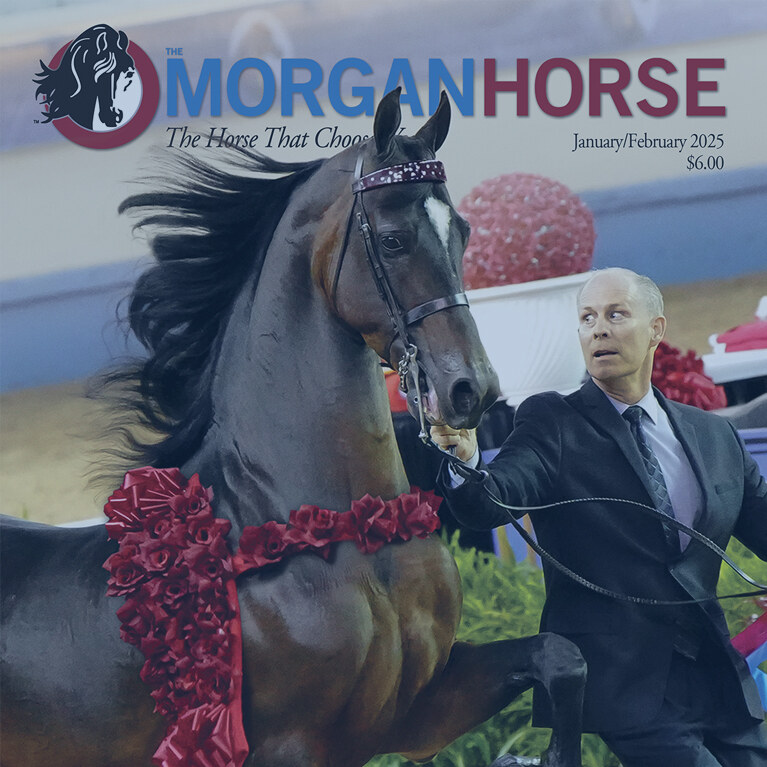 Front cover of January/February 2025 The Morgan Horse magazine