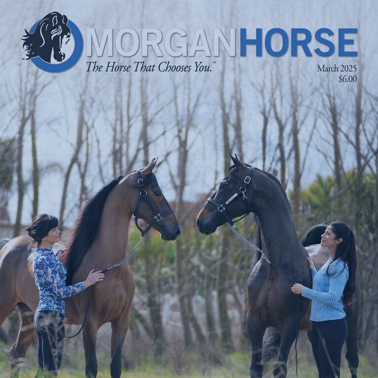 Front cover of March 2025 The Morgan Horse magazine