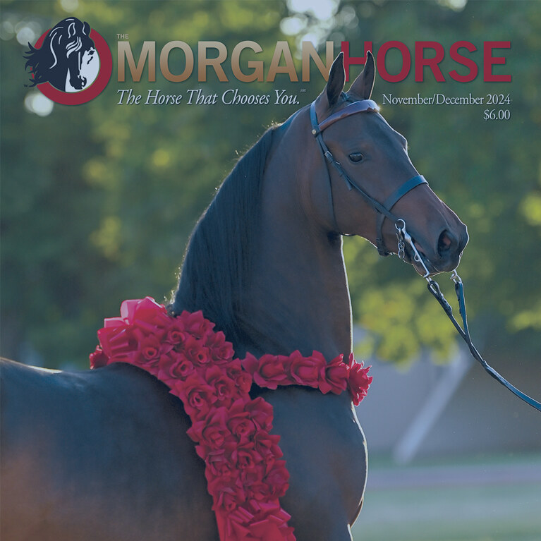 Front cover of November/December 2024 The Morgan Horse magazine