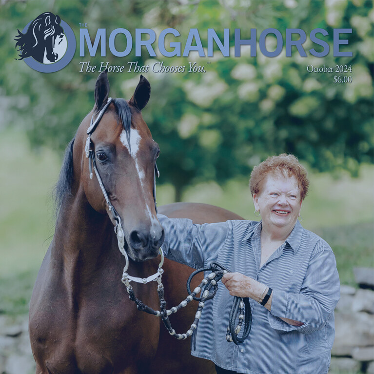 Front cover of October 2024 The Morgan Horse magazine