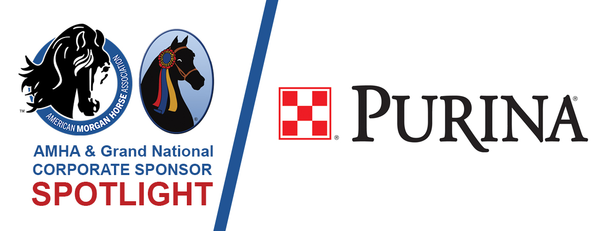 news_2024_corp_sp_spotlight_purina.jpg