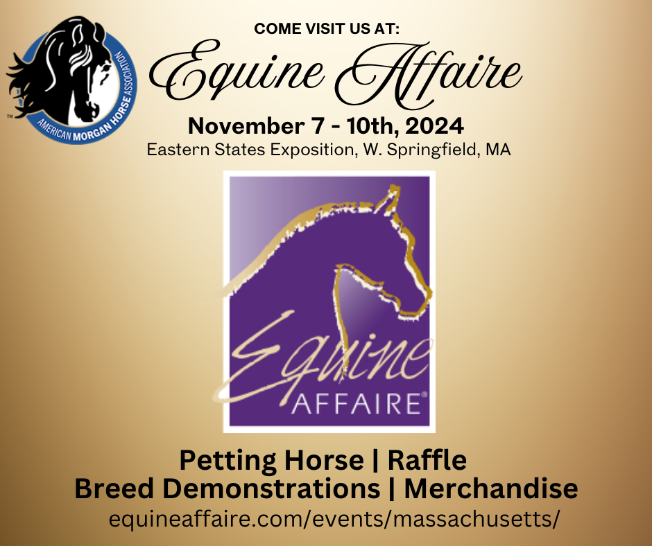 news_equine-affaire-2024.png