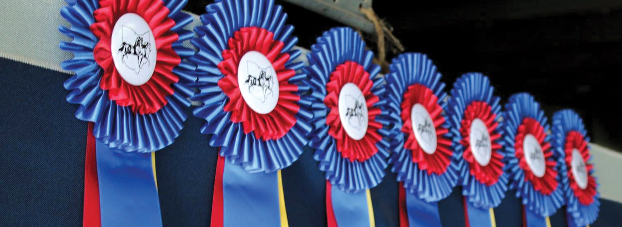 news_news_headerimage_pages_header_news_events_competitions_show_results.jpg